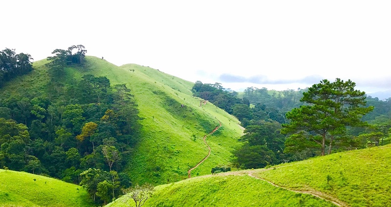 huong-dan-trekking-ta-nang-phan-dung (1)