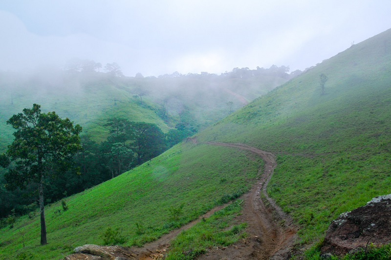 huong-dan-trekking-ta-nang-phan-dung (12)