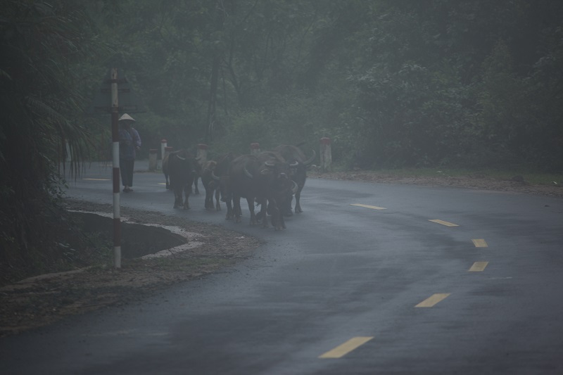 du-lich-mang-den-tu-tuc