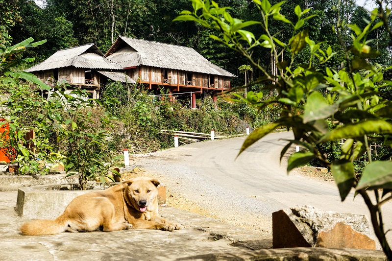 homestay-tai-pu-luong (5)