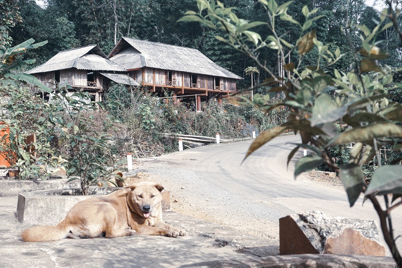 kinh-nghiem-du-lich-mai-chau-2-ngay-1-dem (15)