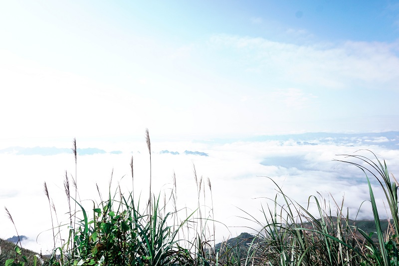 kinh-nghiem-san-may-ta-xua (10)