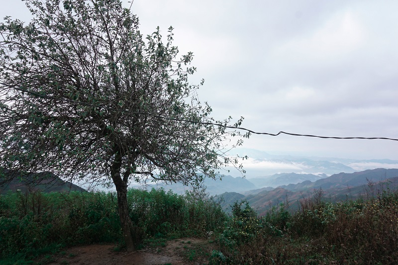 kinh-nghiem-san-may-ta-xua (8)