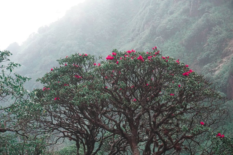kinh-nghiem-chinh-phuc-dinh-fansipan (14)