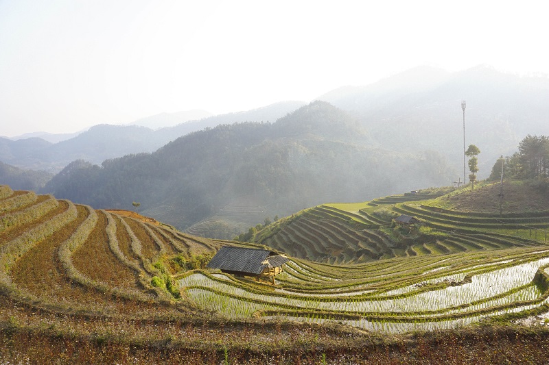 kinh-nghiem-du-lich-mu-cang-chai (16)