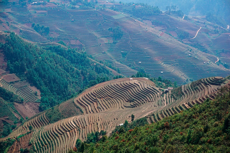 kinh-nghiem-du-lich-mu-cang-chai (16)