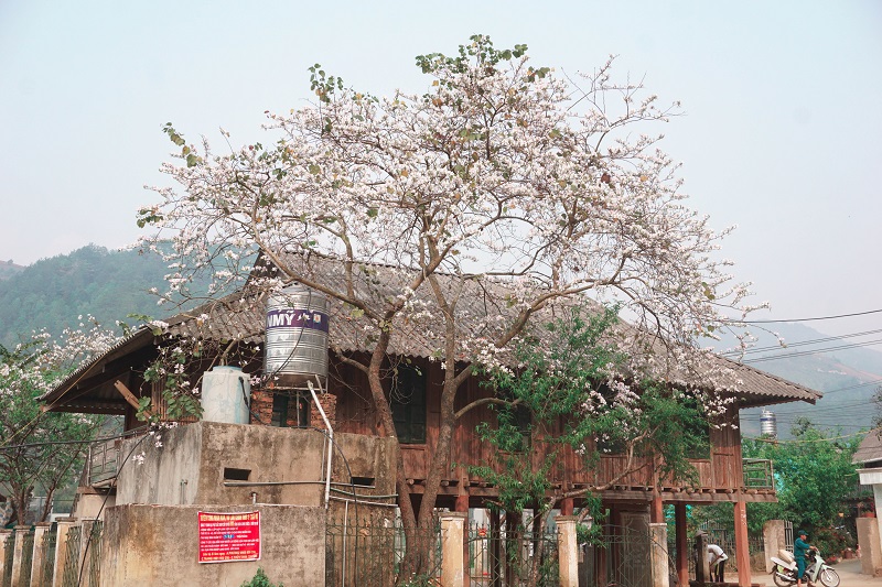 kinh-nghiem-du-lich-mu-cang-chai (16)