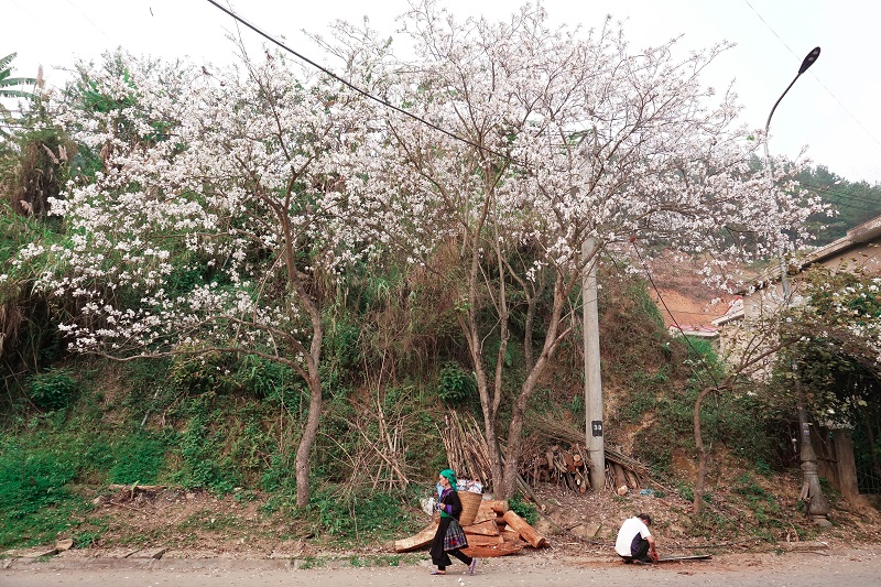 kinh-nghiem-du-lich-mu-cang-chai (16)
