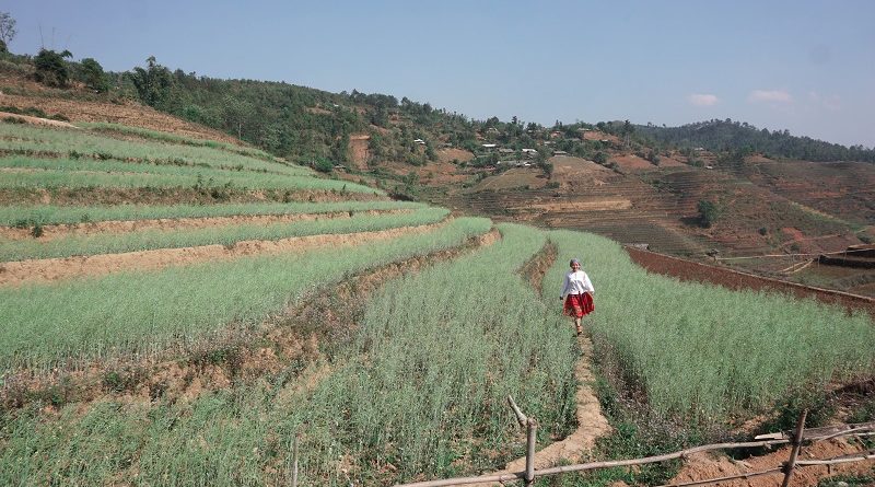 kinh-nghiem-du-lich-mu-cang-chai (16)