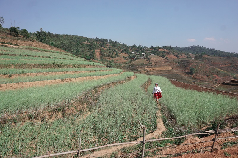 kinh-nghiem-du-lich-mu-cang-chai (16)