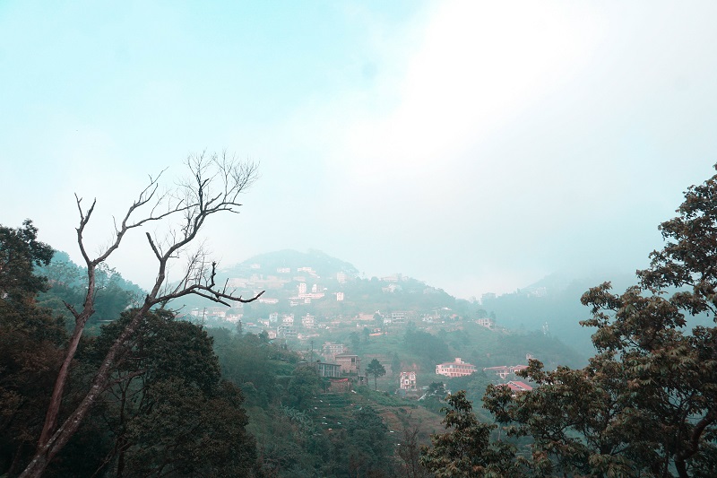 kinh-nghiem-du-lich-tam-dao-2-ngay-1-dem (10)