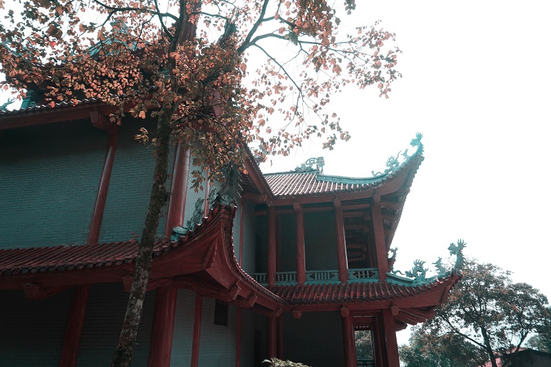 kinh-nghiem-du-lich-tam-dao-2-ngay-1-dem (22)