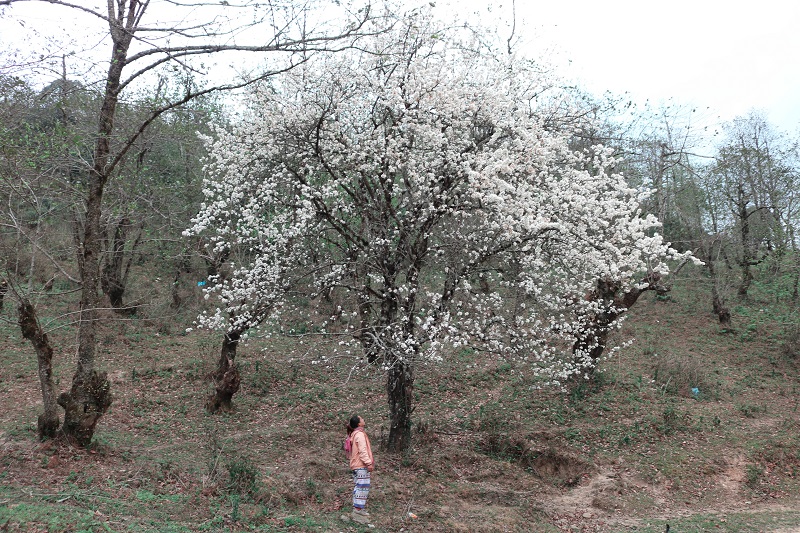kinh-nghiem-leo-nui-lao-than (4)