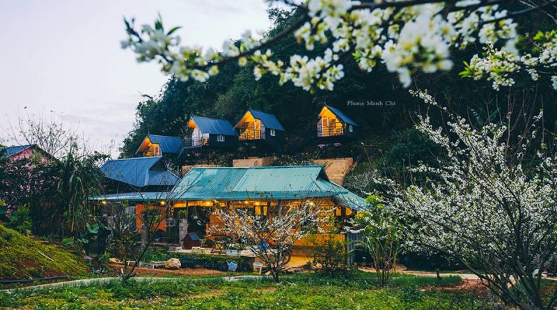 homestay-moc-chau (9)