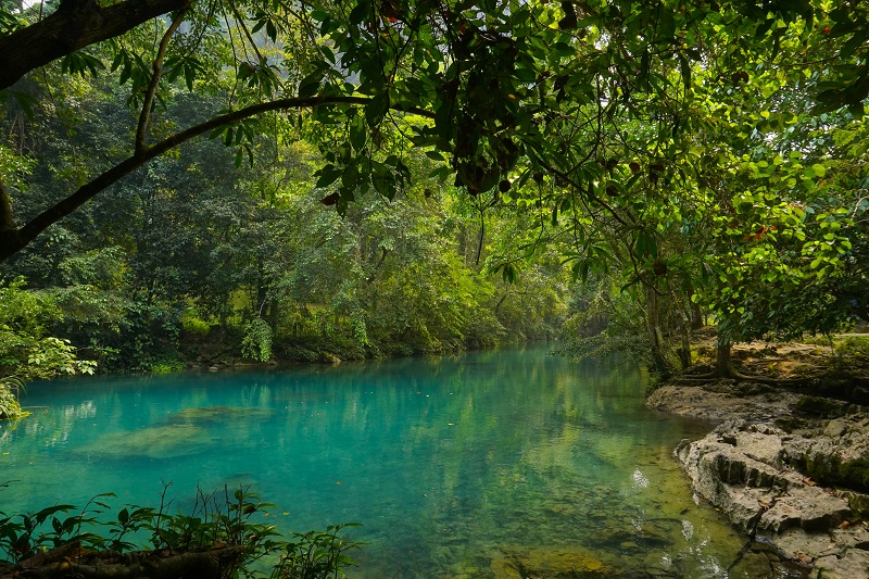 khu-di-tich-pac-bo (1)