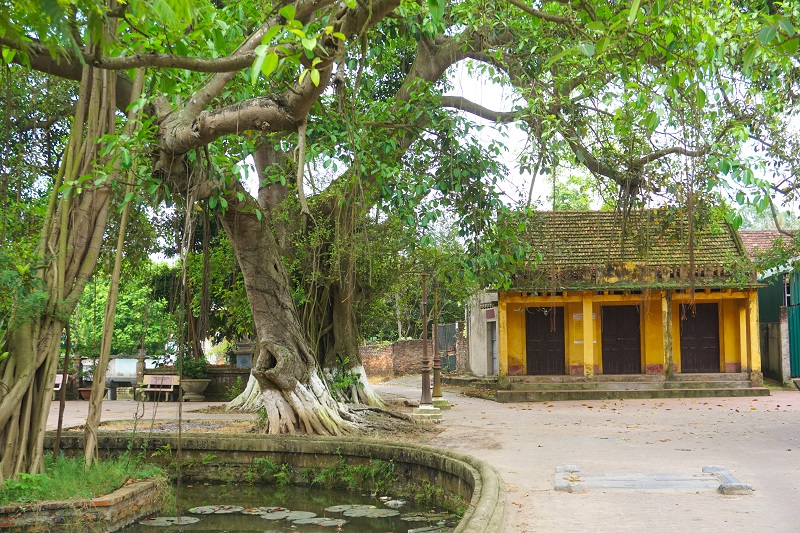 chua-nom-hung-yen (1)