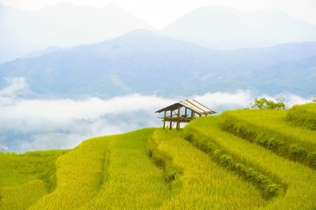 dia-diem-san-anh-dep-nhat-hoang-su-phi (1)
