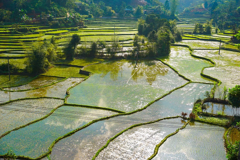 homestay-o-xin-man (23)