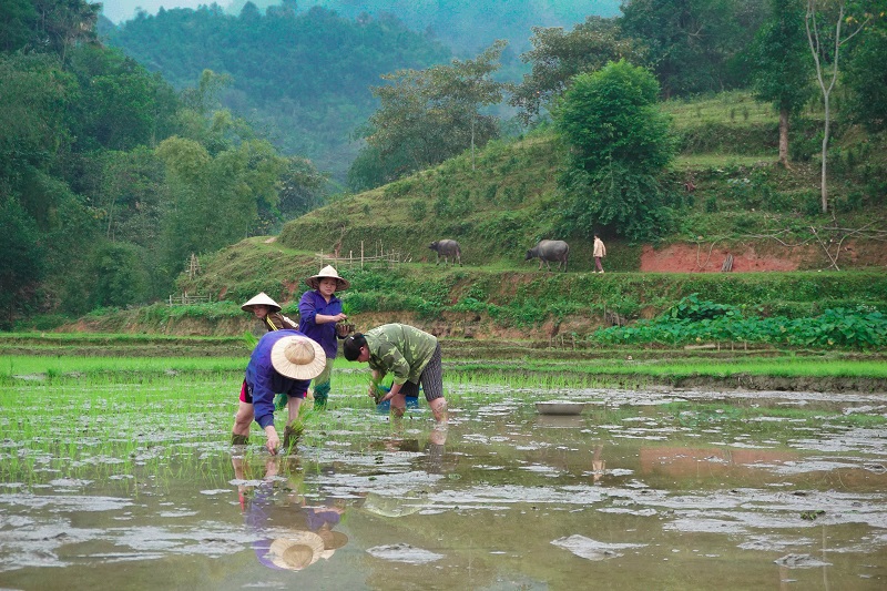 homestay-o-xin-man (23)