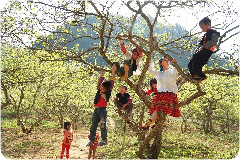 ly-do-phu-nu-nen-di-du-lich-mot-minh-truoc-khi-ket-hon (9)