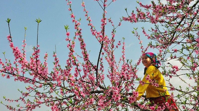 spring in thien huong village