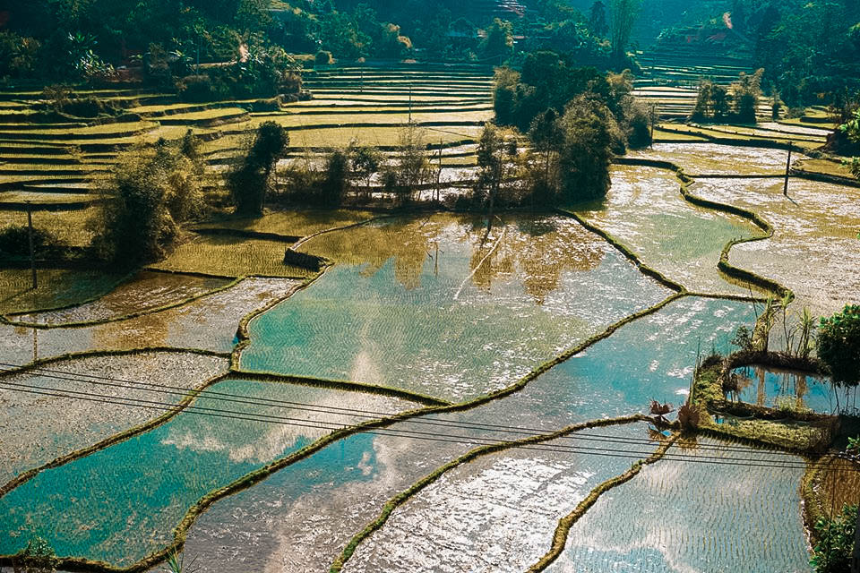 Ruộng bậc thang thoai thoải ở trong Nà Ràng