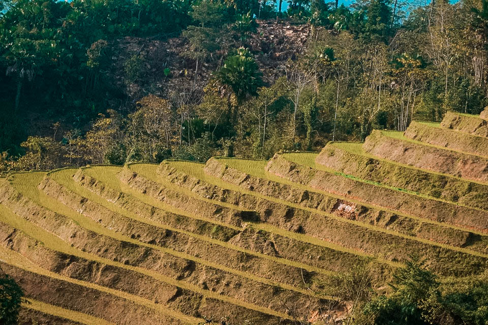 Ruộng bậc thang thoai thoải ở trong Nà Ràng