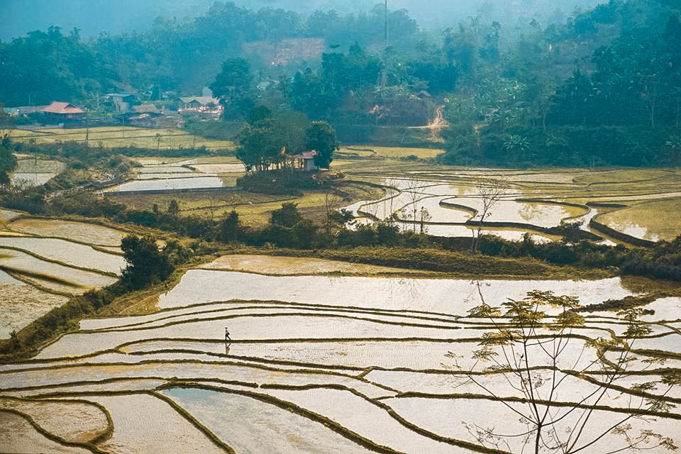 Ruộng bậc thang thoai thoải ở trong Nà Ràng