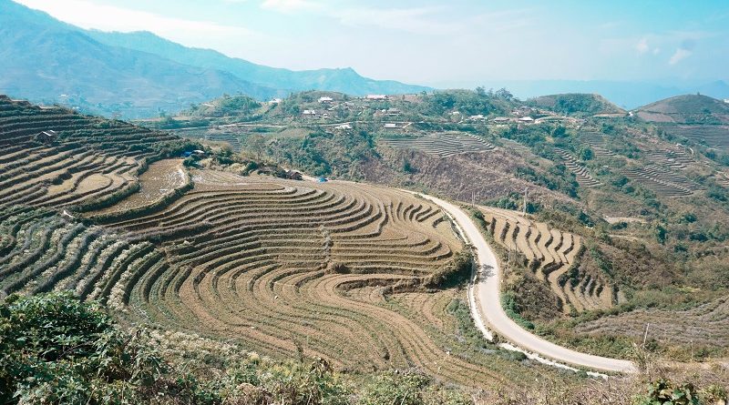 Ruộng bậc thang ở Sin Suối Hồ, Lai Châu