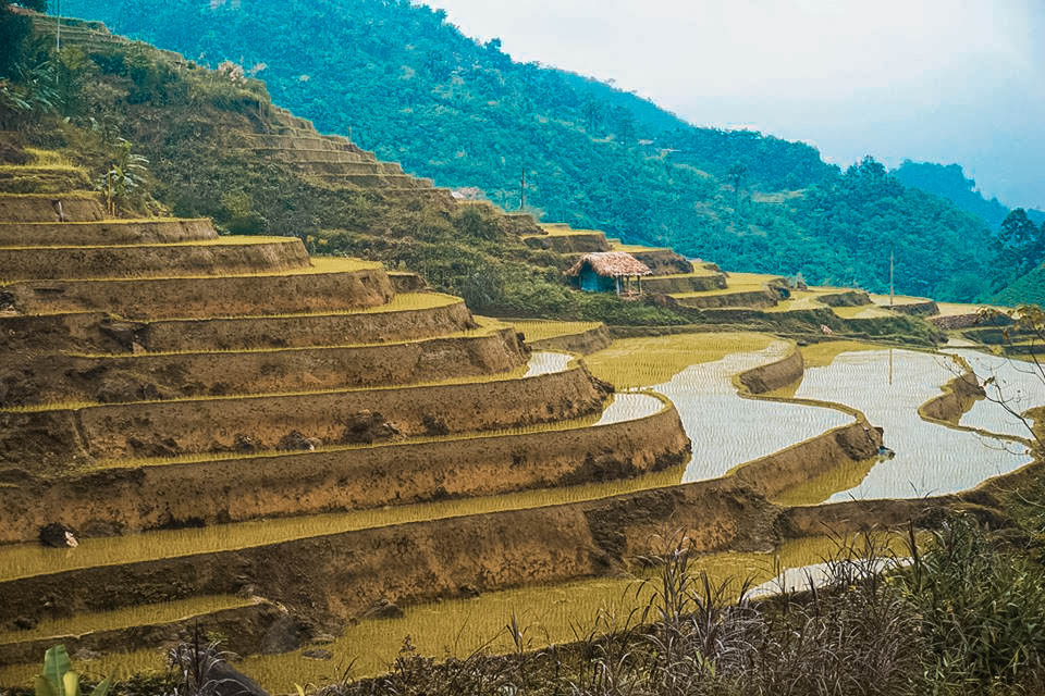 Ruộng bậc thang ở Nà Ràng