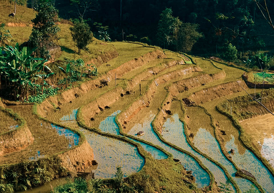 Ruộng bậc thang ở Nà Ràng
