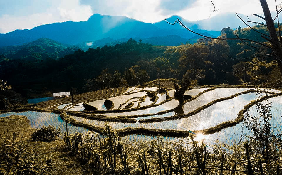 Ruộng bậc thang ở Nà Ràng