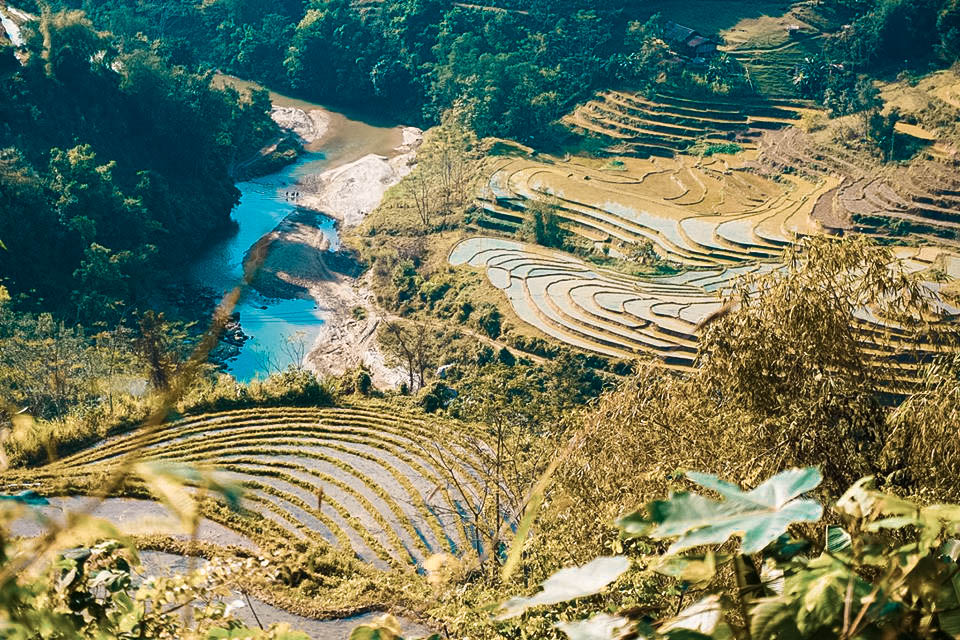 Ruộng bậc thang ở Nà Ràng