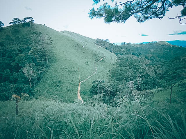 Đồi cỏ non đẹp nhất ở tà năng