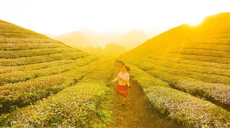 Khoảnh khắc đón hoàng hôn ở Mộc Châu