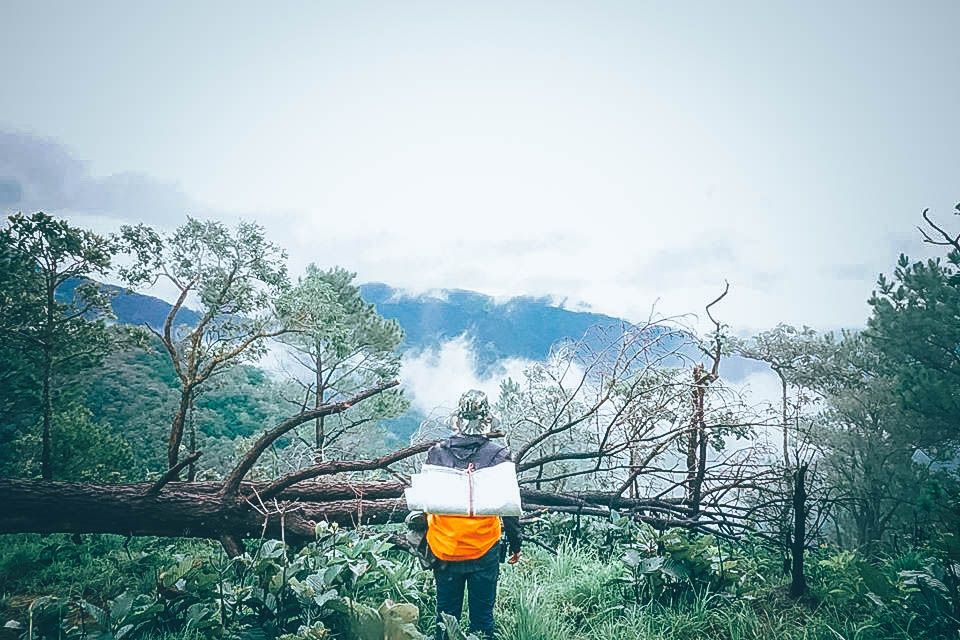 Mưa ở tà năng