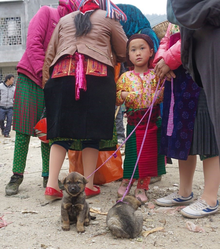 Chợ gia súc của Đồng Văn