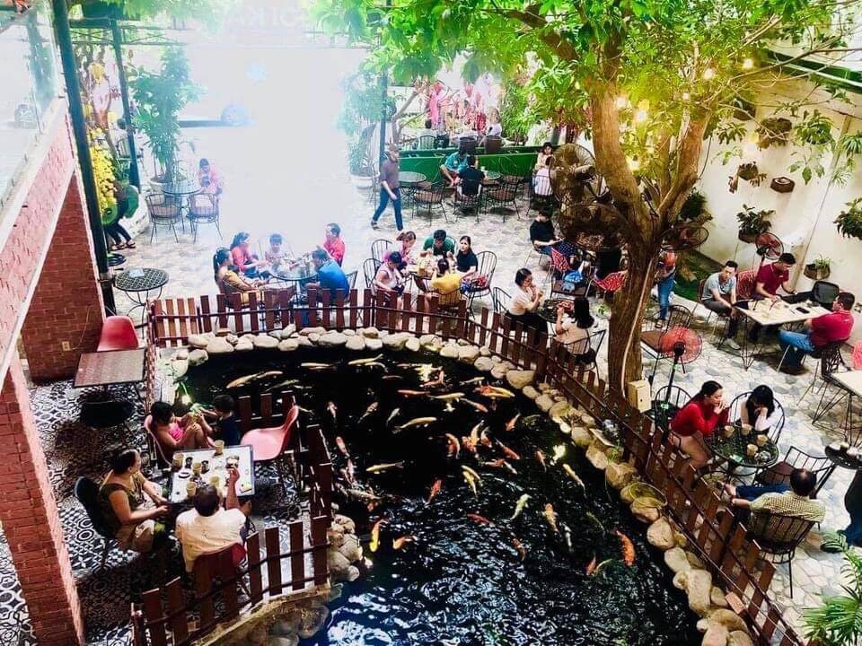 quán cafe để xem cá