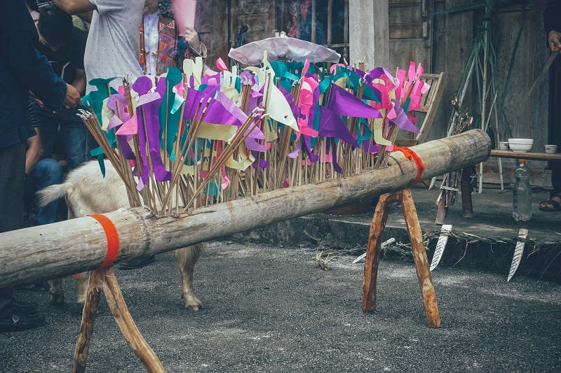 dâng đồ lễ lên cúng