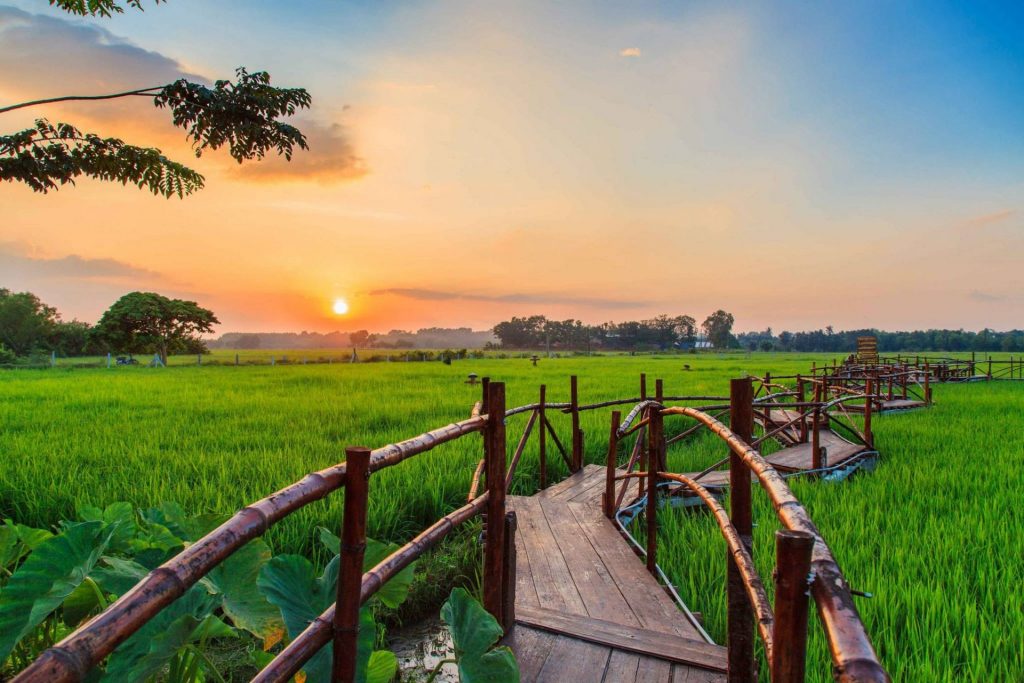 quán cafe có phong cảnh đồng quê xinh đẹp