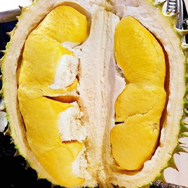 Sầu riêng Ngũ Hiệp