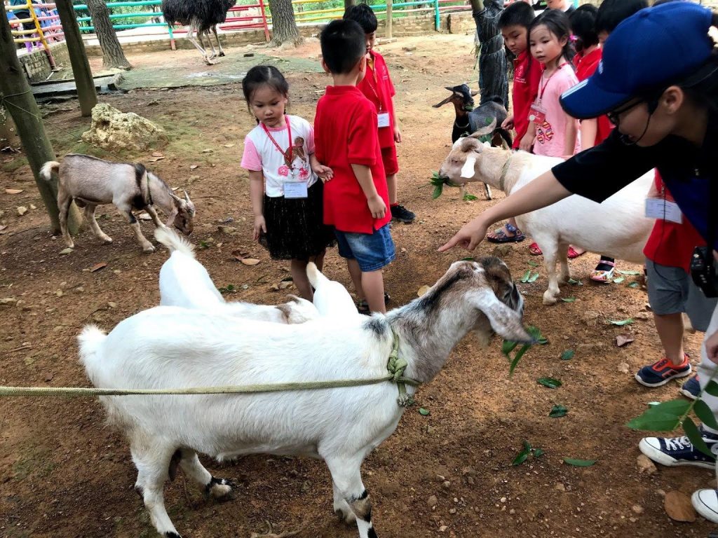 du lich soc son 2 ngay 1 dem