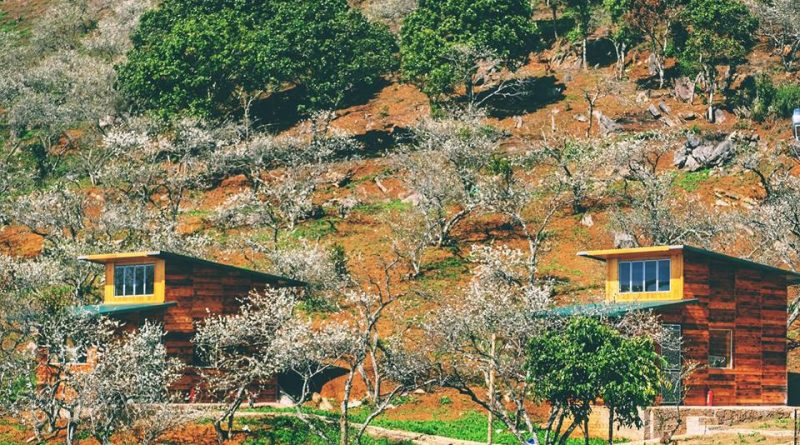 homestay mộc châu