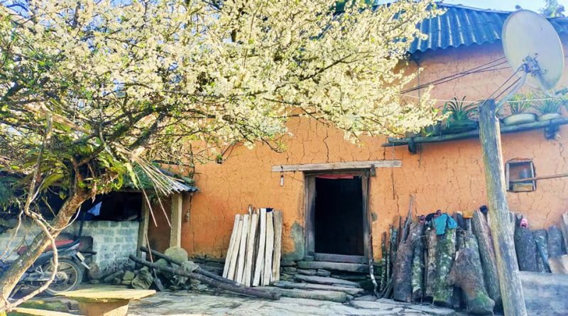 homestay y tý