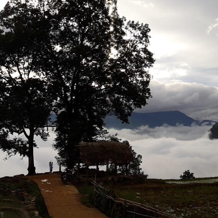 homestay y tý