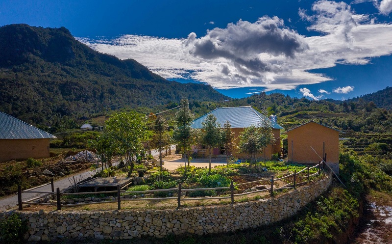 homestay y tý