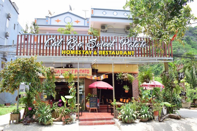 homestay cát bà
