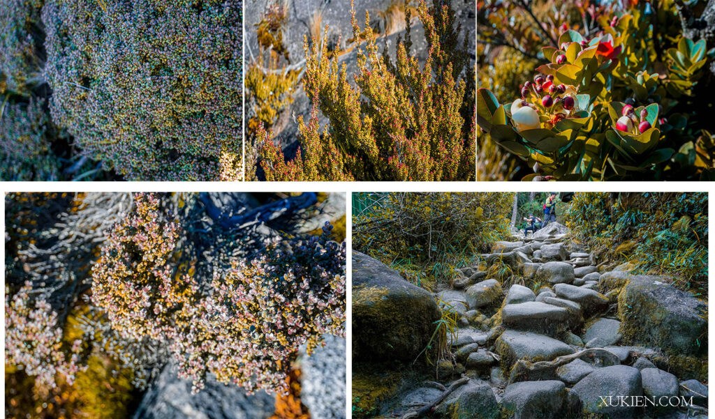 kinh nghiệm leo núi kinabalu