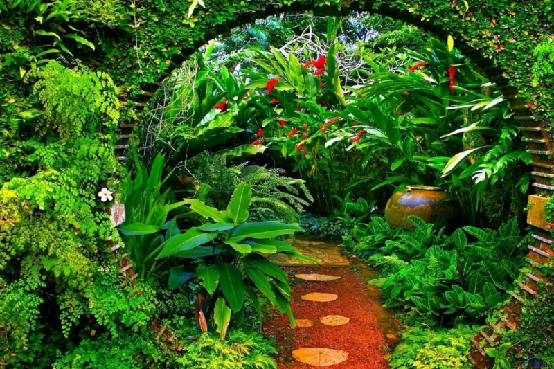 homestay ở nghệ an