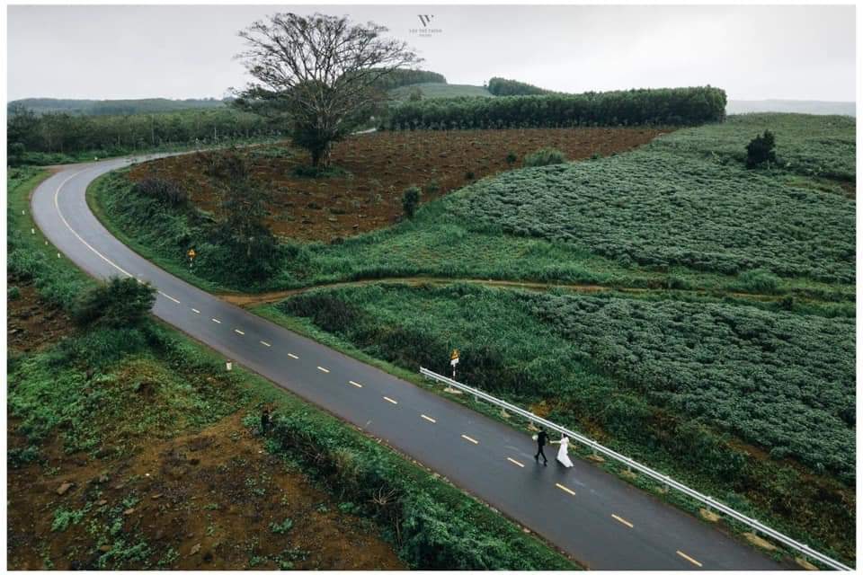 kinh nghiệm du lịch phú yên 3 ngày 2 đêm